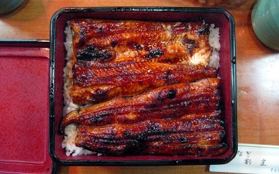山梨ラン03