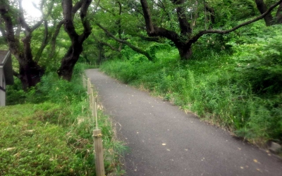 三ツ池・山コース