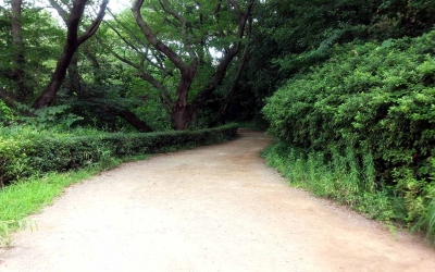 三ツ池・山コース