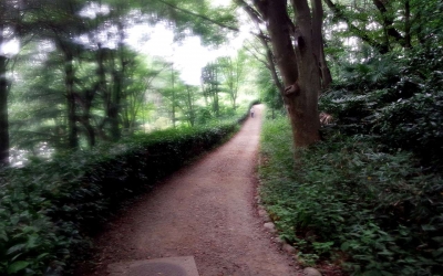 三ツ池・山コース