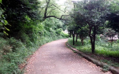 三ツ池・山コース
