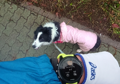 仕方なく5kmペース走
