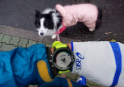 仕方なく5kmペース走