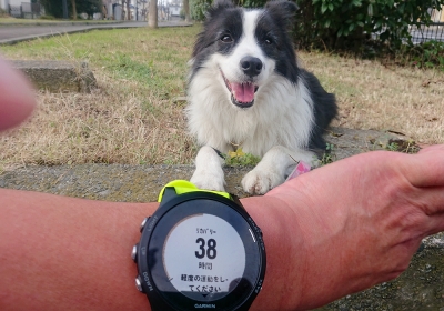 ɤä10km