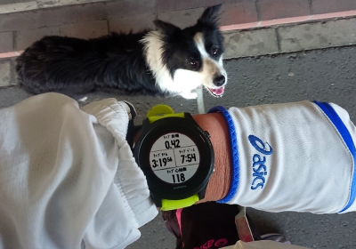 15km走れた(^-^)/