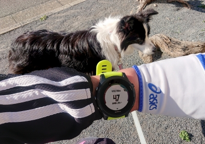 15km走れた(^-^)/