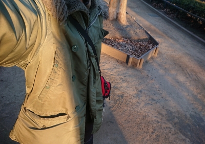 細切れで小走りしてみた