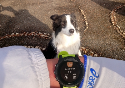 10kmビルドアップ走