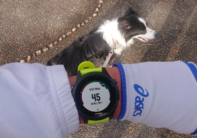 10kmビルドアップ走