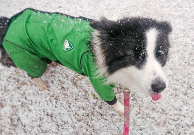 雪降る中でのペース走