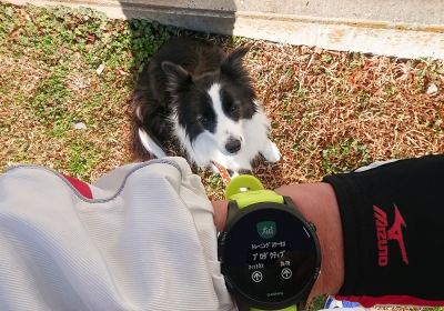 最低限の10km