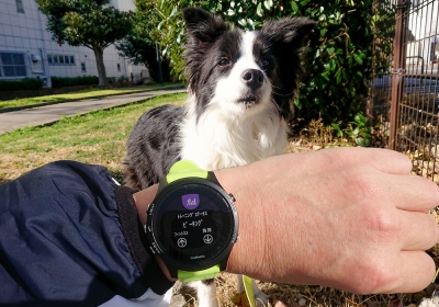悩みながらも15km