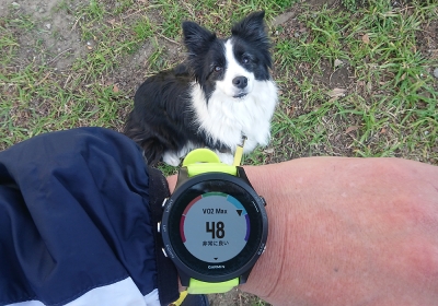 悩みながらも15km