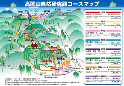 どのルートで登ろうかな♪
