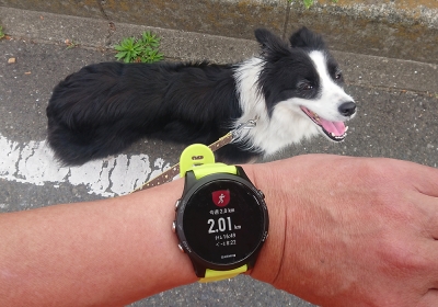 ºÙÀڤ쾮Áö¤ê¤Ç2km