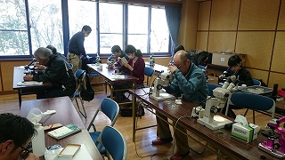 森森大学院 コケの中からクマムシを探せ!