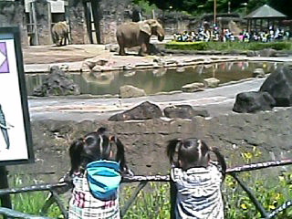 100515_1031~01001.JPG