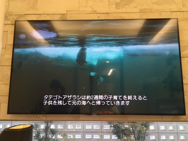 診察時 画面