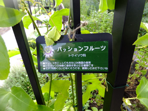 ラベル