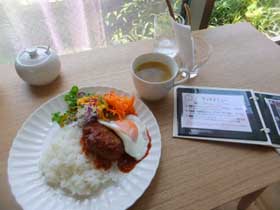 ランチ