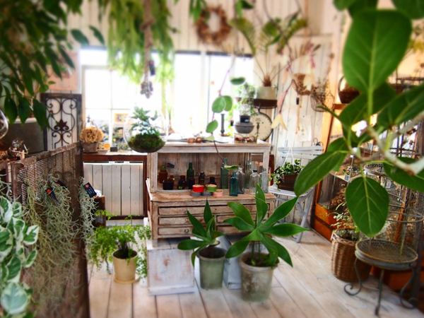 P1277026店内600.jpg