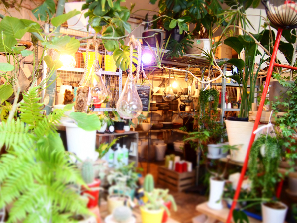 P1277025店内600.jpg