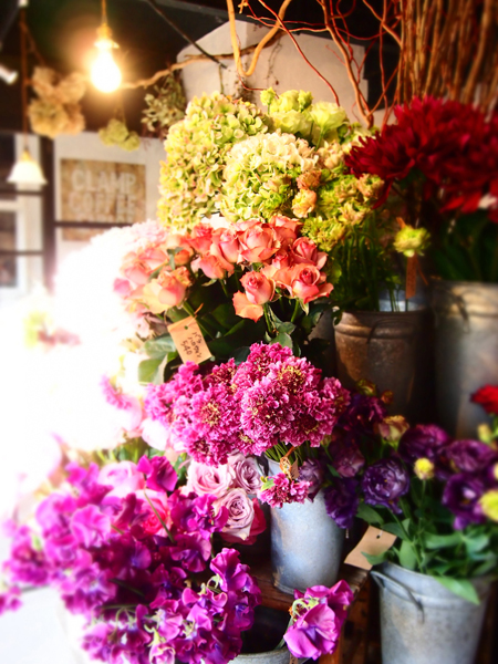 P1277033お花600.jpg