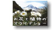 クリックしてね