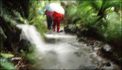登山道