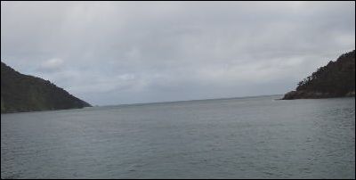 タスマン海