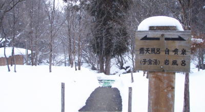 案内