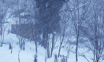 雪が降る