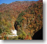 仙人ダムの紅葉