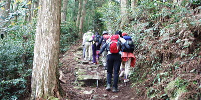登山道