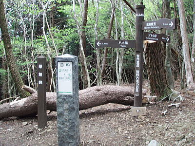 果無峠