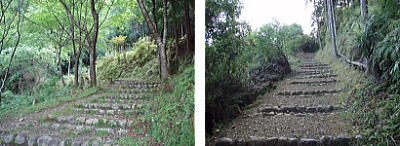 登山道