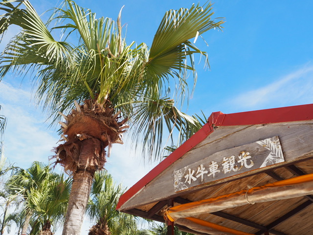 南ぬ島旅 2日目 | あまったれ日記