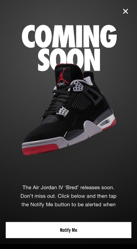 jordan iv 2019