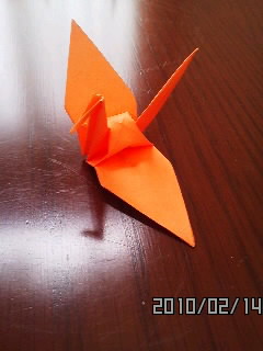 100214_1146~01.jpg