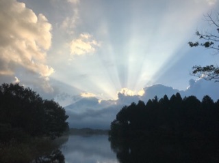 IMG_3988.jpg