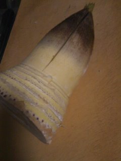 100406_1744~01.jpg
