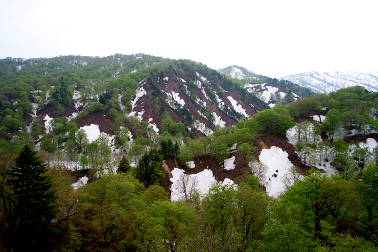 _0024042.jpg