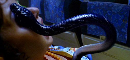 Snakes on a Plane