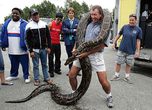 Snakes-on-a-Plane