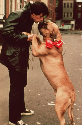 Rocky