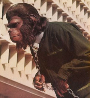 Conquest of the Planet of the Apes/猿の惑星・征服