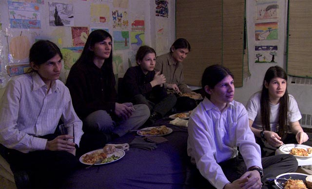 The Wolfpack
