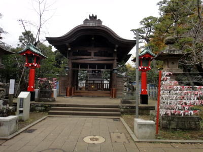 DSC03047.jpg