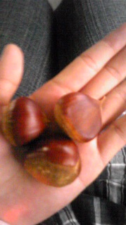 SBSH00041.JPG