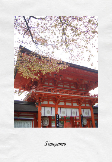 Simogamo